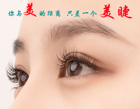公司简介